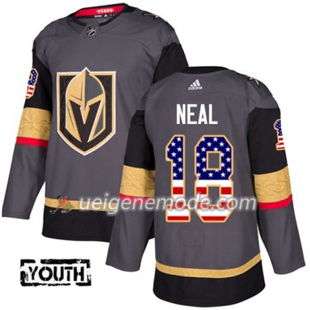 Kinder Eishockey Vegas Golden Knights Trikot James Neal 18 Adidas 2017-2018 Grau USA Flag Fashion Authentic
